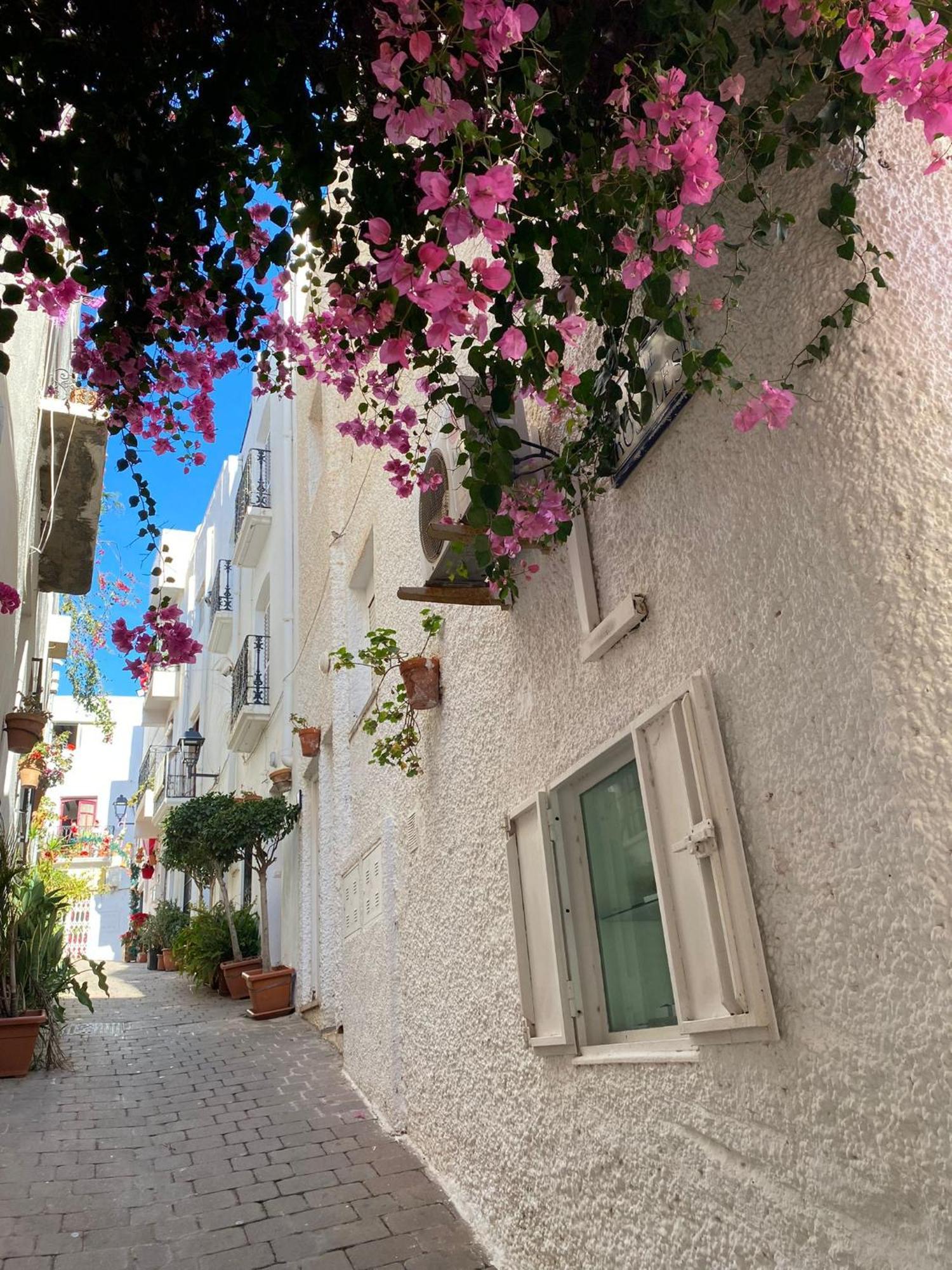 Aura Mar Mojacar Apartment Ngoại thất bức ảnh